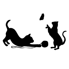 Harmony des Chats - Comportementaliste Félin