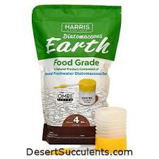 Exotic blend® cactus & succulent mix is recommended for use in all outdoor and indoor planting applications. Best Cactus And Succulent Soil Mix Review