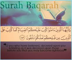 Video murottal surah ad dhuha. Quran Quotes About Courage 123 The Quran 93 03 Surah Ad Dhuha Quranic Quotes Dogtrainingobedienceschool Com