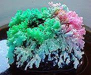 Crystals With Bluing This One Is For You Karen Told You I Would Find It Grow Crystals Growing Crystals Garden Crafts For Kids