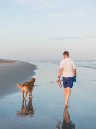 What Is Cuter Than Your Man And Your Dog Walking Side By Side On The Beach At Sunset I Love To Watch That Golden Retriever F Dog Beach Man And Dog