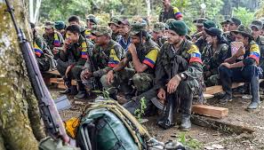 Some 30 percent of the farc is female and most are younger than 19. These Are The Former Green Farc Guerrillas Protecting The Jungle Al Dia News