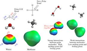 Water (h 2o) is a polar molecule because the electrons of the hydrogen atoms get pulled towards the electrons of the oxygen atom. If All Intermolecular Forces Are Electrostatic In Nature Why Don T Large Non Polar Molecule Dissolve In Water Chemistry Stack Exchange