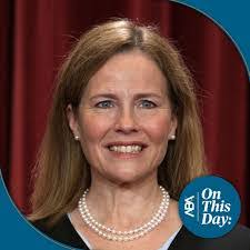 David Freckleton's Instagram, Twitter & Facebook