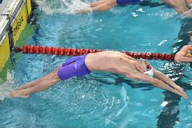 We did not find results for: Mewen Tomac La Saison Est Loin D Etre Finie Federation Francaise De Natation