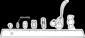 Why do i need to register my microchip if i have a pet tag? Pet Owner Benefit Found Animals Microchip Registry