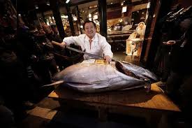 The majority of exported u.s. Pacific Bluefin Tuna Population Has Dropped 97 Percent New Report Says The Mercury News