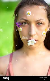 Lilac daisy like flowers hi-res stock photography and images