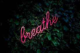 Explore and download tons of high quality aesthetic wallpapers all for free! 750 Green Aesthetic Pictures Download Free Images On Unsplash
