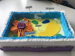 (and the koopalings), and terry, but lighter than incineroar and pokémon trainer's charizard. Deborah Beirne On Twitter Just A Few Of The Fantastic 3d Models Of Animal And Plant Cells That My 1st Year Science Class Submitted Today Jcscience Modelmaking Bw1 Kishogecc Https T Co Iwizbzxabb