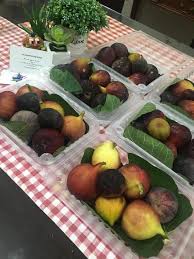 Beli buah tin segar online berkualitas dengan harga murah terbaru 2021 di tokopedia! Buah Tin Segar Fresh Figs Food Drinks Baked Goods On Carousell
