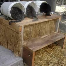 Feral Shelters