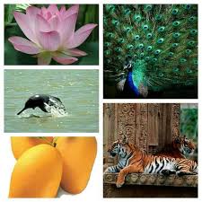 Indian National Flower Lotus Aquatic Animal River Dolphin Fruit Mango Bird Peacock Animal Tiger Bird Aquatic Animals Animals