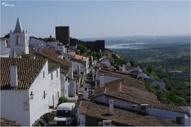Get to know our wines and olive oils. Visit Reguengos De Monsaraz Portugal Premium Tours