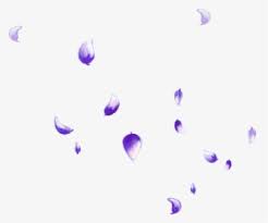 Petals Png Images Transparent Petals Image Download Pngitem