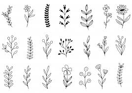 Floral lineart flower svg frame monogram 9705171. Hand Drawn Flowers Doodle Premium Vector