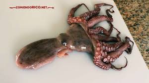 En ese momento, se sumerge y se saca 2 o 3 veces el pulpo. Como Se Cuece El Pulpo Comiendo Rico