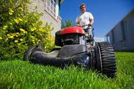 Mobile lawn mower service near me 80012. Toro Lawn Mower Repair Yard Nursery Depot