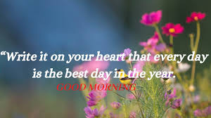 If so, these 70 sunrise quotes will make your day brighter and shinier. Inspirational Good Morning Quotes That Will Brighten Your Day Youtube