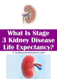 Pin On What Is Kidney Disease