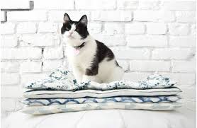Kedi Yatagi Nasil Yapilir Sevgilihediyem Com