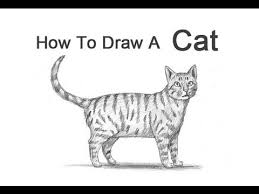 #taylor swift #squad #style #song #cat walk #gigi hadid #kendall jenner #karlie kloss #serena williams #martha hunt #cara delevingne #1989 tour #hyde park #london. How To Draw A Cat Tabby Youtube