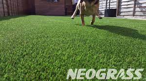Pet friendly artificial grass installation. Artificial Grass For Dogs Everything You Need To Know
