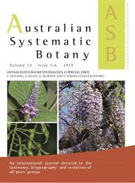 Image result for Eriosema rhynchosioides