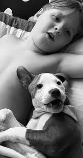 Let's see your sun bathing babies 🥰 We normally would let her outside  since it's so nice, but she is still recovering from TPLO surgery for torn  ACL.