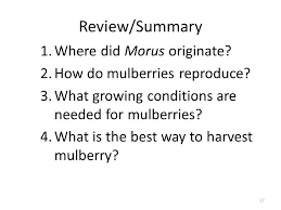 Be kind to everyone and try to help out as best you can. Unit E Fruit And Nut Production Lesson 7 Mulberry Production Ppt Download