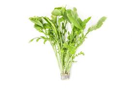 Image result for Rorippa