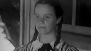 Watch The Adventures of Champion (1955) Online for Free