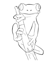 25 Delightful Frog Coloring Pages For Your Little Ones In 2020 Frog Coloring Pages Frog Drawing Animal Coloring Pages