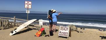 Always in the back of your mind, he said. Shark Attack News Alerts