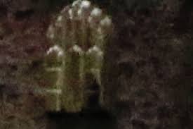 Real ghost caught on video or demon? I M A Celebrity In Spook Shock As Ghostly Figure Is Spotted In A Window At Gwrych Castle On Launch Night
