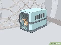 What supplies will you need? 3 Easy Ways To Travel A Long Distance With A Dog Wikihow