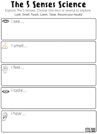 5 Senses Science Worksheet Free Printable Science Worksheets Kindergarten Science Free Science Worksheets