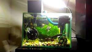 Set up aquarium air laut kecil mini reef tank. Desain Aquarium Air Tawar Model Terbaik Harga Murah Hingga Sekarang
