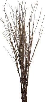 We did not find results for: Amazon Com Misswarm 10 Pcs Artificial Green Twig Curly Willow Branch Spray 29 5 Artificial Branches Floral Home Decor For Home Office Party Hotel Restaurant Patio Or Yard Decoration Kitchen Dining