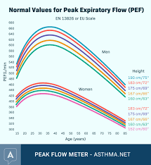 Peak Flow Tracking Chart Diagram Meter For Asthma Pdf