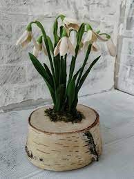 Snowdrops Realistic Flowers On A Birch Stump Womens Day Gift Etsy Plant Lover Gift Unique Gifts Artificial Flower Arrangements