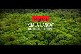 Mymemory, world's largest translation memory. Kuala Langat North Forest Reserve Klnfr Updates From The Field Greenpeace Malaysia