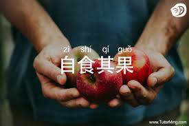 Chengyu 自食其果 Meaning