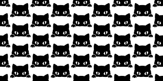 pin on cats