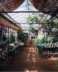 Please help us and the community by complying with these regulations. Petersham Nurseries A Place Of Beauty An Emporium Of Goods Garden Center Displays Garden Nursery Greenhouse