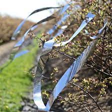 How do you keep squirrels away from fruit trees: Robot Check Bird Repellents Bird Deterrents Keep Birds Away