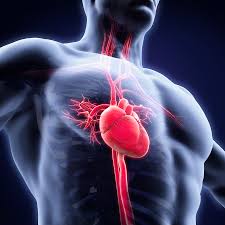 Die herzmuskelentzündung wird in der medizin als myokarditis bezeichnet. Herzmuskelentzundung Nach Gurtelrose Herpes Zoster Myokarditis