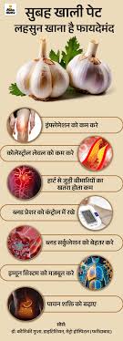 Garlic Health Benefits Explained; Lahsun Khane Ke Fayde Aur Nuksan | जरूरत  की खबर- रोज सुबह खाली पेट खाएं लहसुन: दूर होगा हार्ट अटैक, हाई ब्लड प्रेशर  का रिस्क, इम्यूनिटी ...