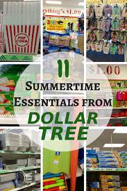 Or delectable artisan foods found at greenmarkets. 11 Summertime Essentials From Dollar Tree Miss Mikes Place