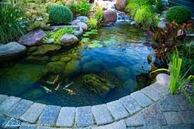 Image result for garden pond ideas
